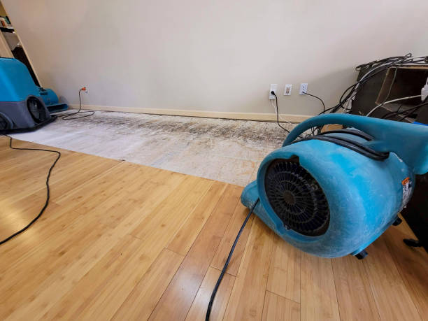 Professional Sewage Cleanup technician working in Jayess, MS